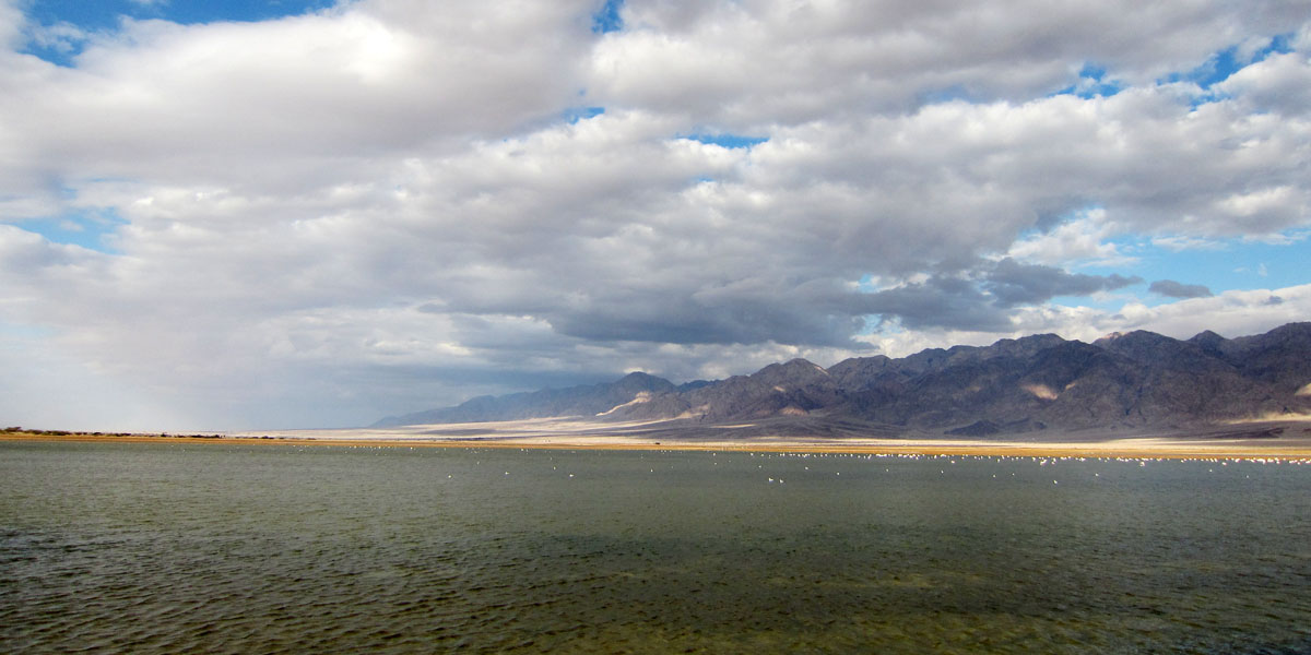 Saltpans bij KM20 in Eilat